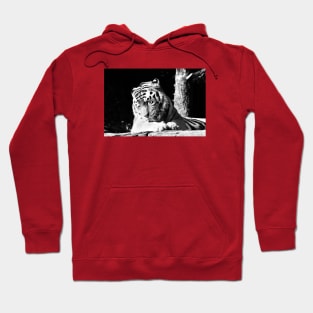 Year of the tiger 2022 - 1 Hoodie